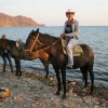 Horse walks